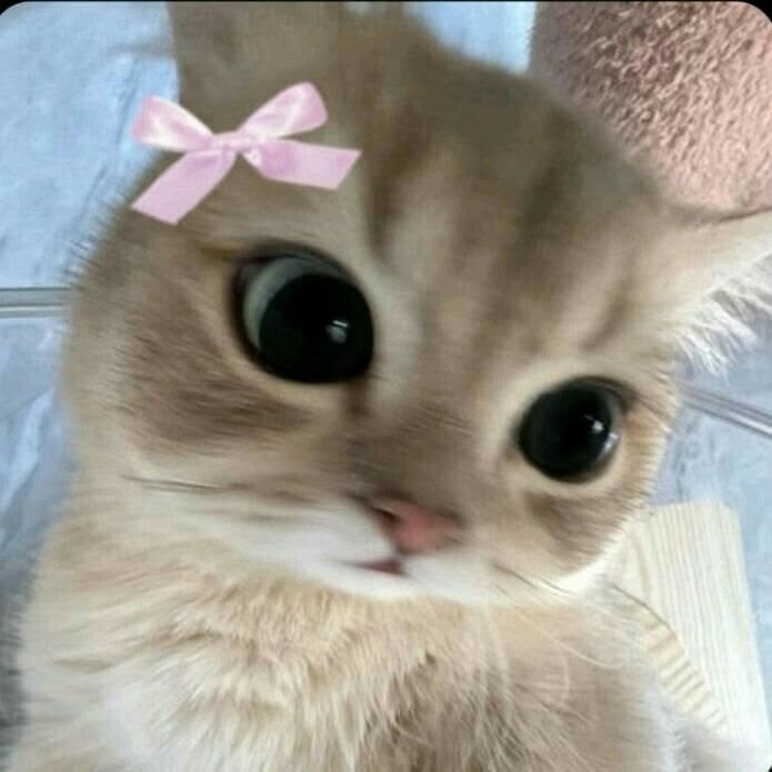 TuanaD