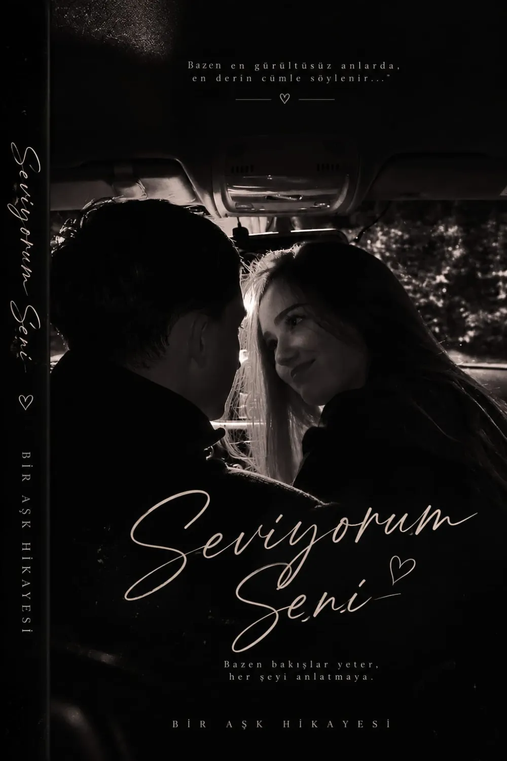 Seviyorum seni