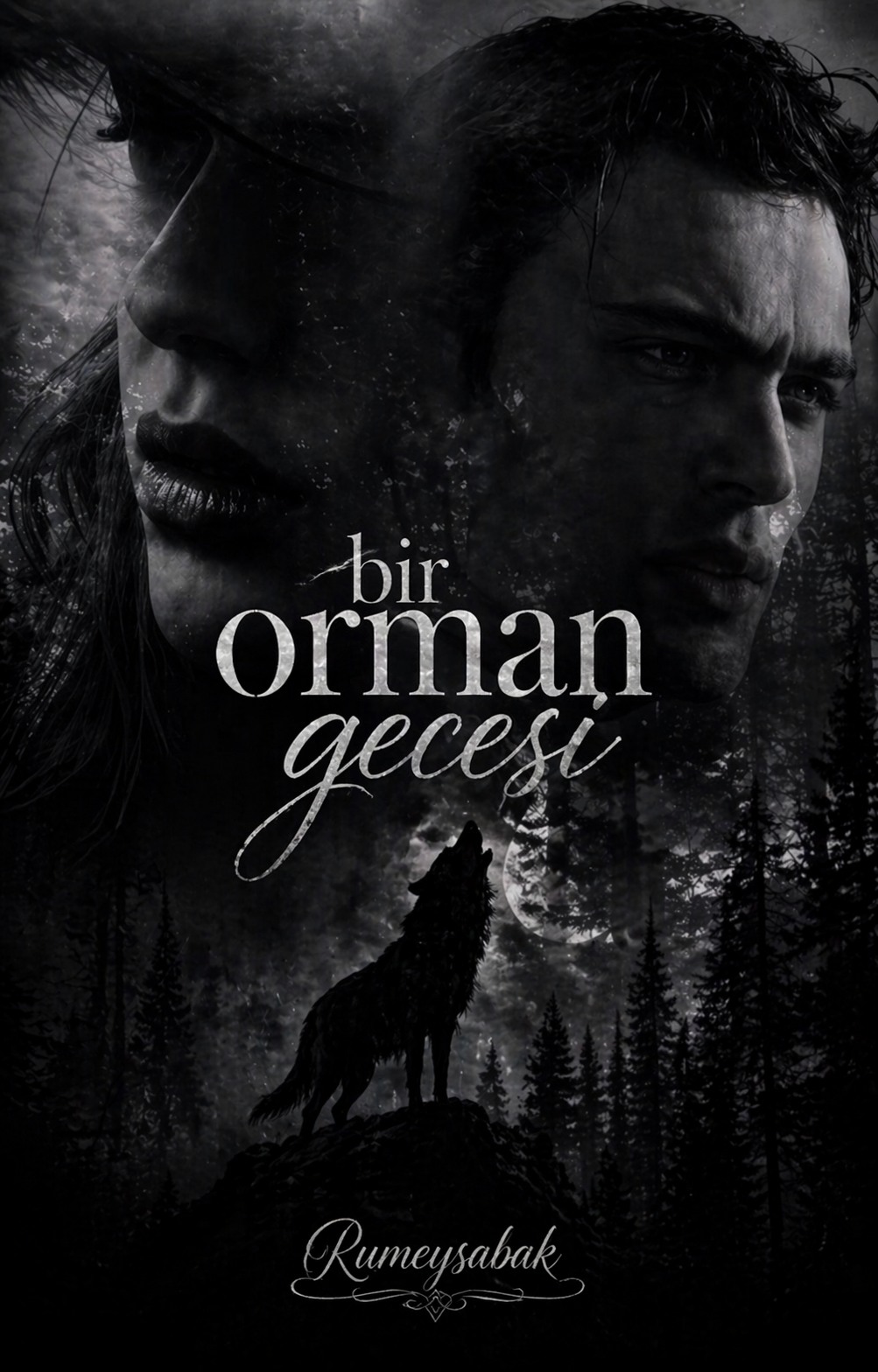 Bir orman gecesi