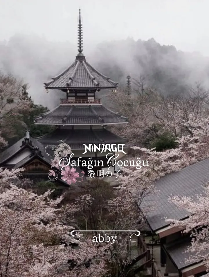 Ninjago;Şafağın Çocuğu⋆˚꩜