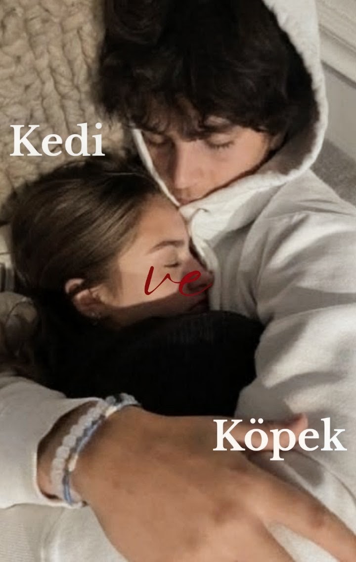 Kedi ve Köpek